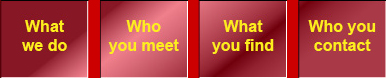 asiansuccesswindows
